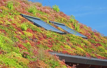 Wenhaston living roof systems