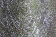 Wenhaston fibreglass roof work